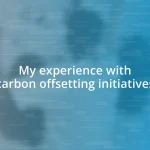 My experience with carbon offsetting initiatives