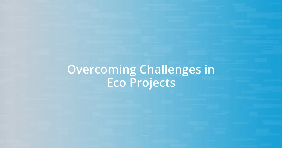 Overcoming Challenges in Eco Projects